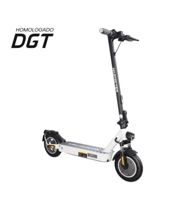 ZWHEEL Mascooter S2